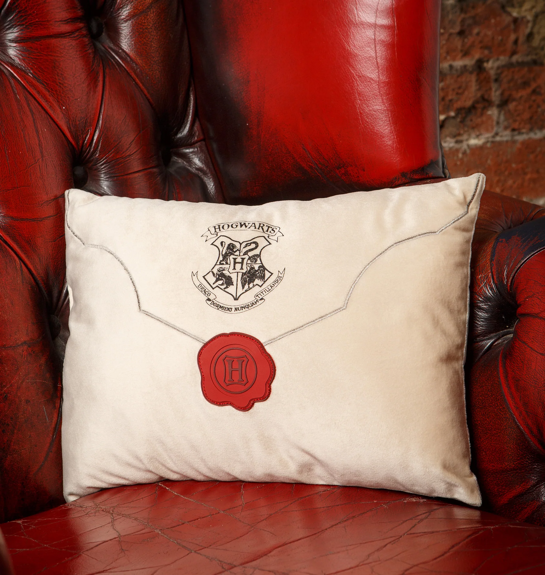 Acceptance Letter Cushion - Image 4