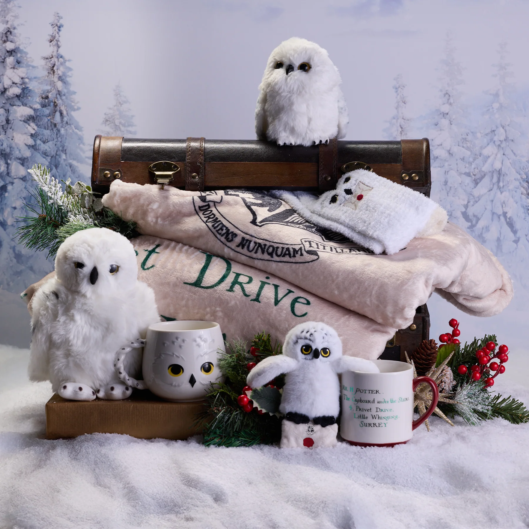 Hedwig Cozy Socks - Image 3