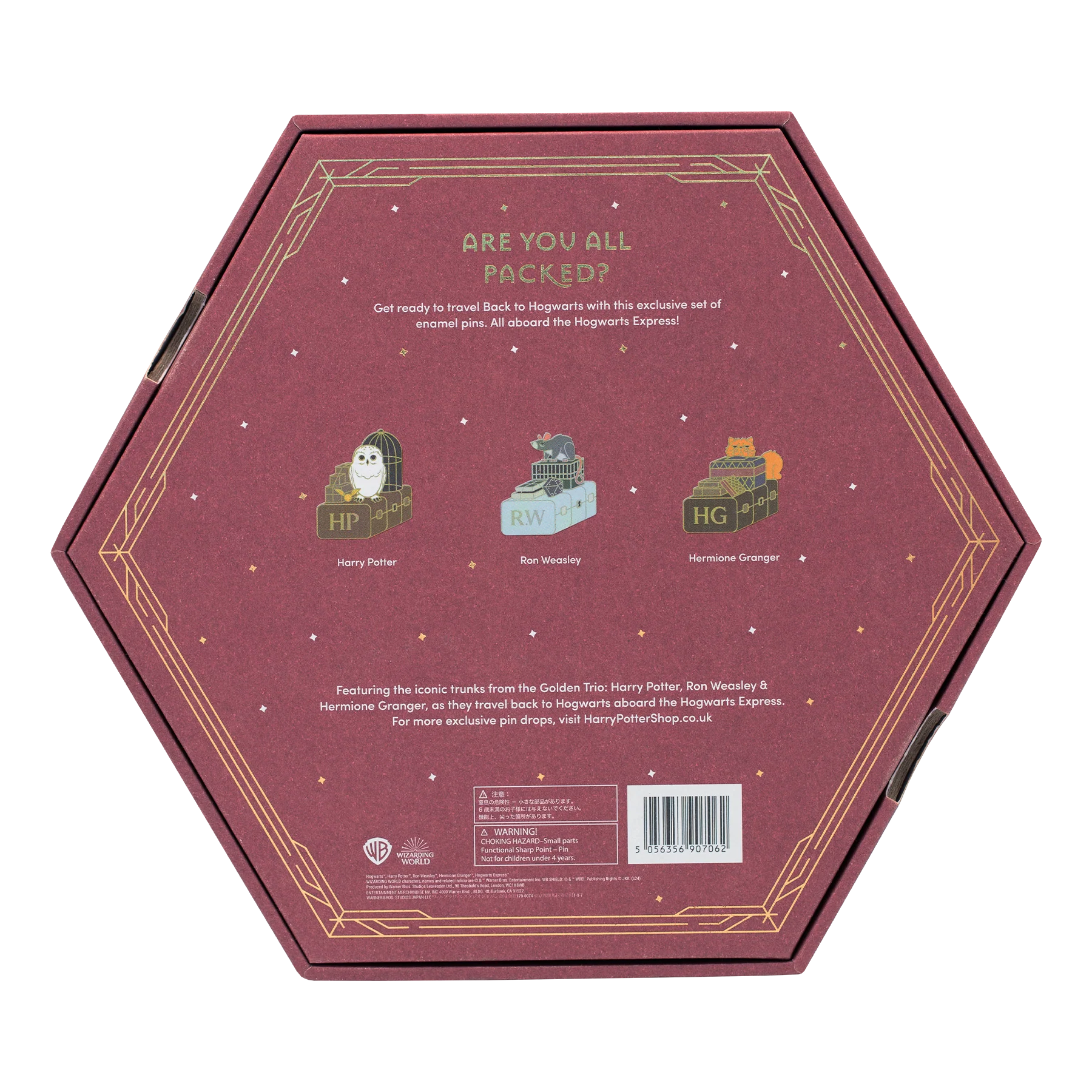 Back to Hogwarts Pin Set - Image 7