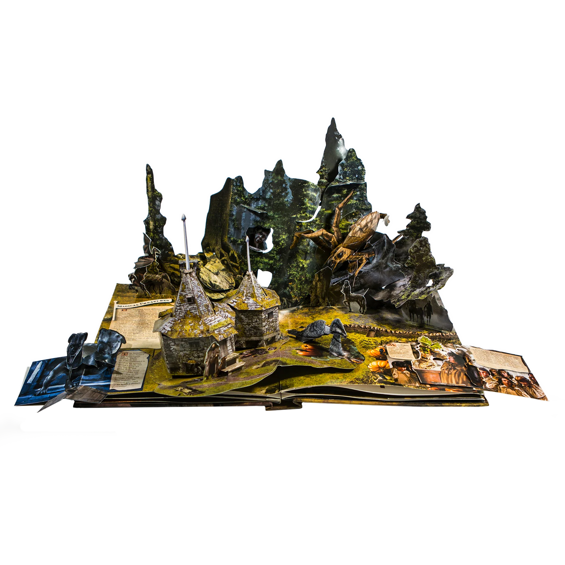 Harry Potter: A Pop-Up Book - Image 8
