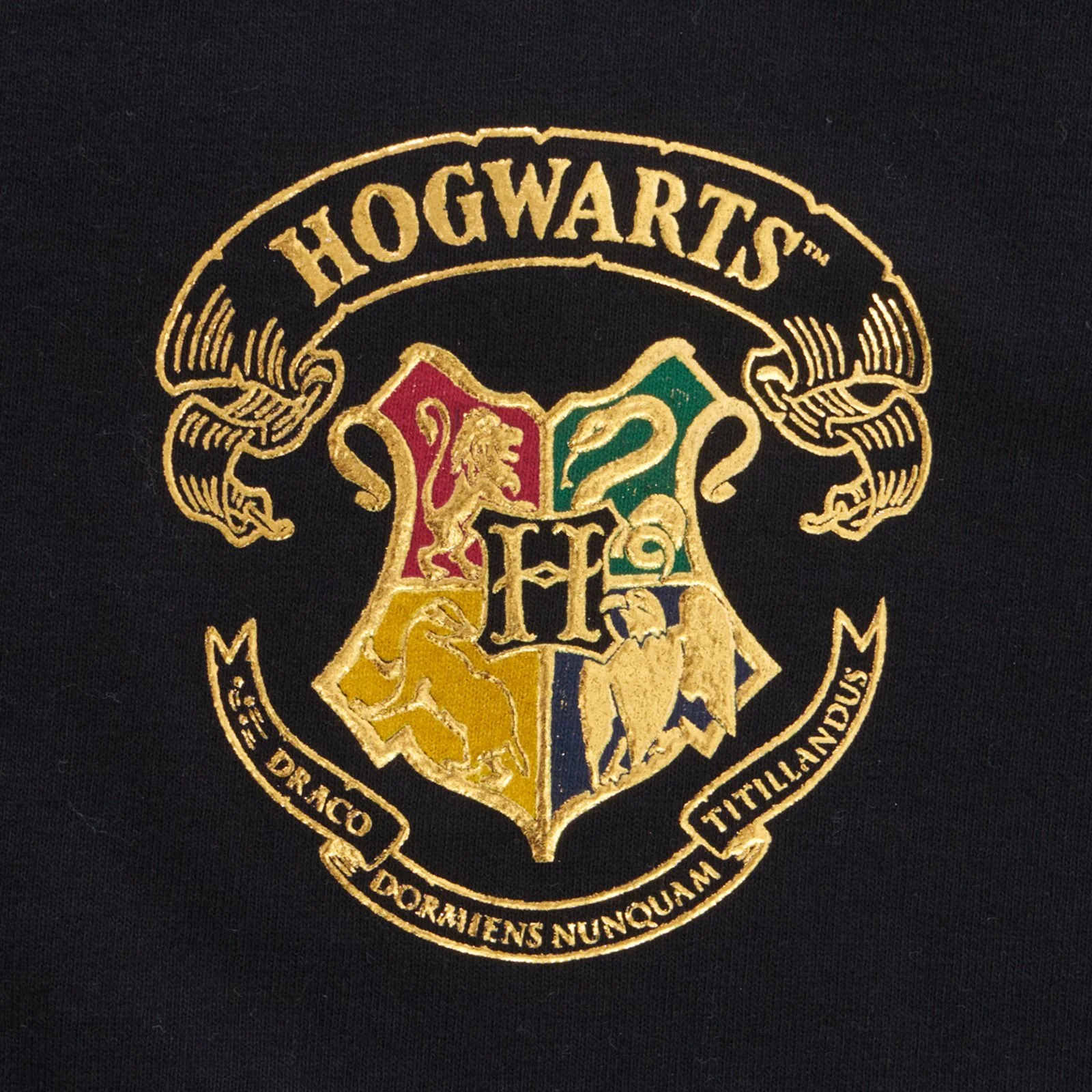 Hogwarts Spirit Jersey - Image 3