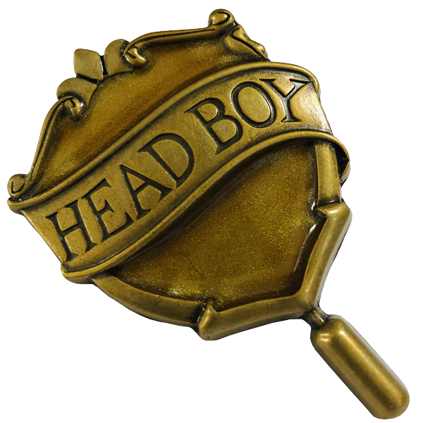 Hufflepuff Head Boy Pin - Image 2